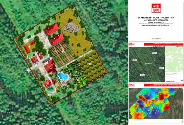 Экологичный образ жизни